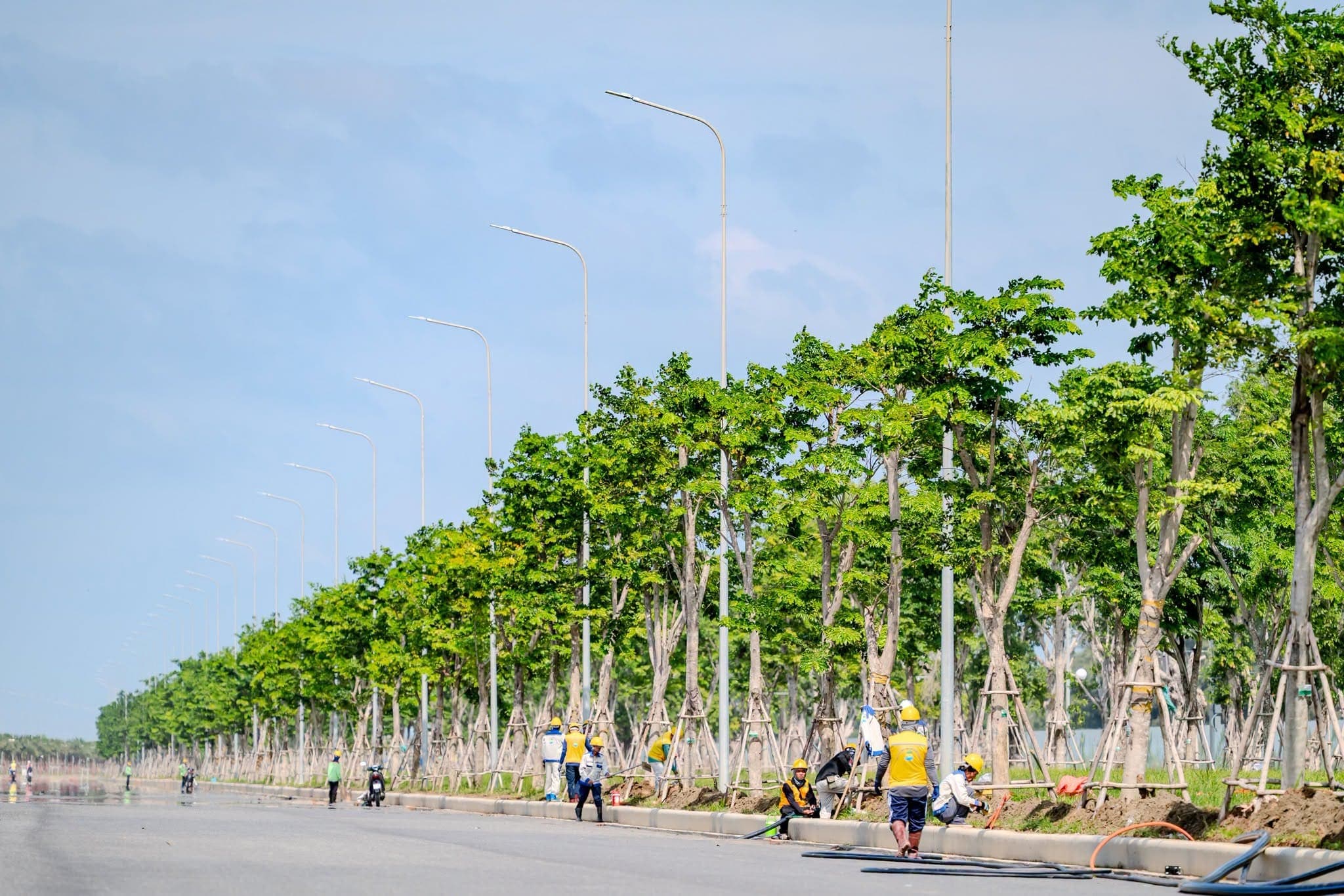 Tuyen duong noi khu da tham nhua voi hang cay xanh lon moi trong doc hai ben, cong nhan dang hoan thien phan canh quan